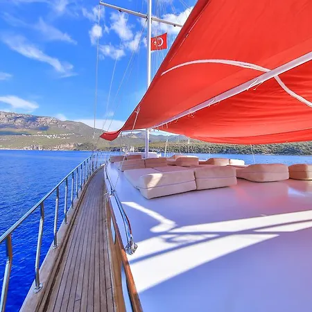  Blue Cruise