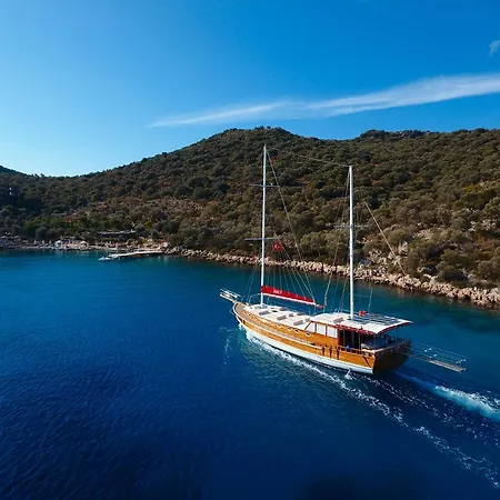  Blue Cruise
